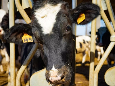 Targi Agro FARMA Expo. Hodowla zwierząt gospodarskich w centrum uwagi. Gdzie i kiedy?