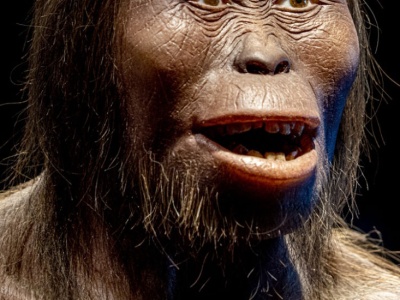Podręczniki do wyrzucenia? Historia człowieka wygląda zupełnie inaczej