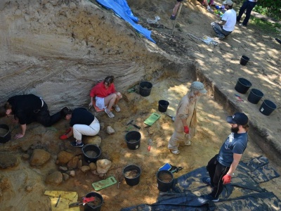 Neandertalczycy nad Zwoleńką – odkrycie „warsztatu” sprzed 70 tys. lat