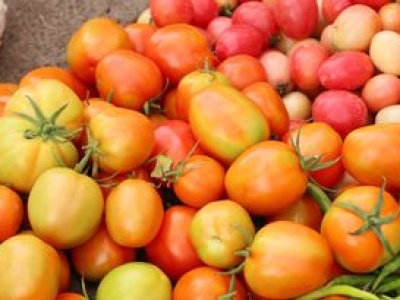 Najzdrowsza odmiana pomidorów. Czyści jelita jak szczoteczka, wzmacnia naturalną odporność