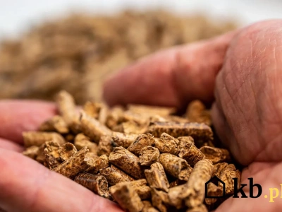 Pellet z Ukrainy pod lupą. Eksperci ujawniają, co naprawdę trafia do Polski