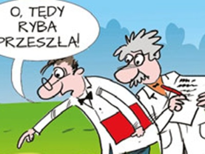 Pradawne ślady życia na lądzie