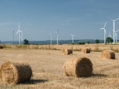Fakty i mity o wiatrakach. Co trzeba wiedzieć o energetyce wiatrowej w Polsce i nie tylko