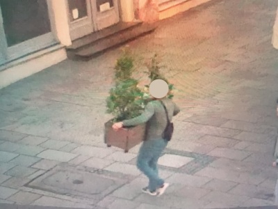 Koneser przyrody na Rynku Głównym w Krakowie