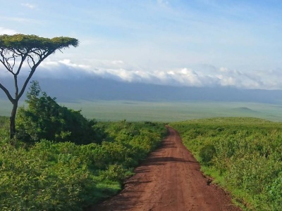 Tanzania wprowadza nowy i wysoki podatek. Linie lotnicze oburzone