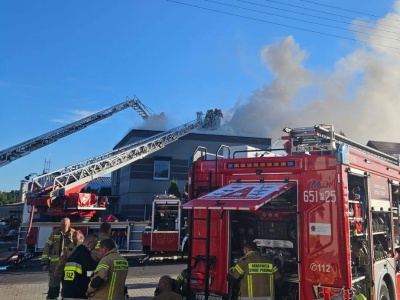 Pożar tartaku w Szczodrzejewie. W akcji 21 zastępów