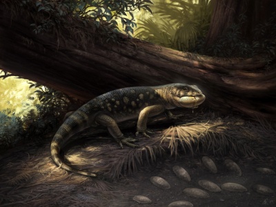 Ten stwór siał postrach w erze dinozaurów. Paleontolodzy odkryli go zupełnie przypadkowo