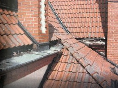 O takich dwóch co skakali przez płot i kradli rynny z dachu