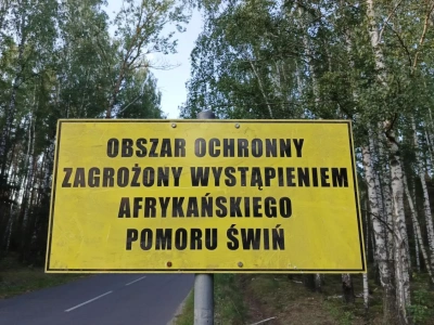 Ognisko ASF w woj. zachodniopomorskim. Gdzie tym razem?
