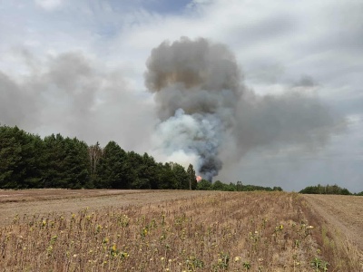 Pożary lasów w powiecie lubartowskim. Wezwano moduł GFFF