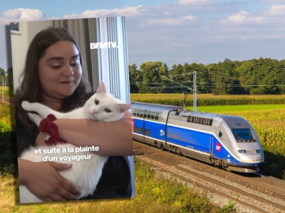 Jechała pociągiem z kotem i teraz musi zapłacić 490 zł. W sieci zawrzało. 