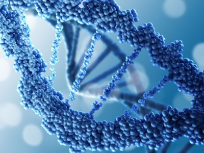 Rewolucja z Polski. Koliste RNA szansą na koniec wielu chorób