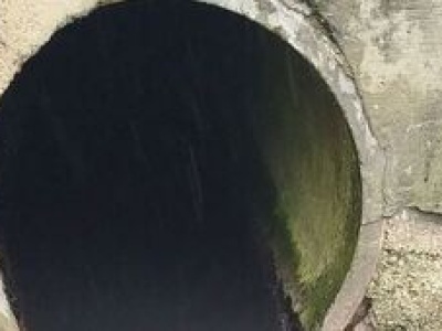 10 ton martwych ryb i wzajemne oskarżenia. Incydent czy katastrofa ekologiczna?