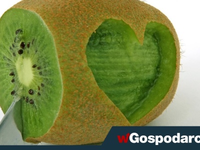 Wszystko, co warto wiedzieć o cholesterolu