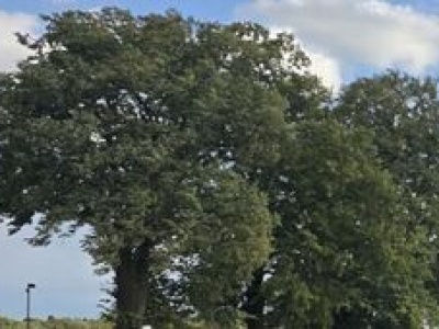 Jezdnia na wiadukcie to zagrożenie. Rozpoczął się remont drogi wojewódzkiej
