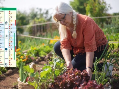 Kalendarz biodynamiczny na wrzesień 2025: co sadzić i zbierać w ogrodzie?