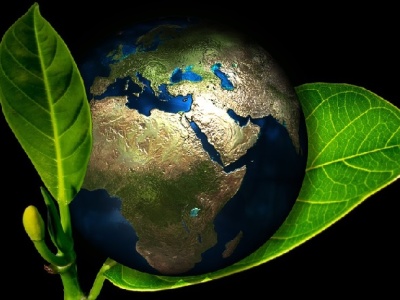 Wraca „nawrócenie ekologiczne”. Papież poświęci centrum „Laudato Si’”