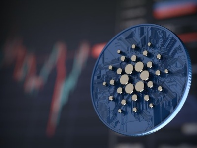 Cardano: audyt obala zarzuty