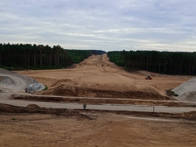 Budowa drogi S10 może się opóźnić. Trzeba przyciąć korony 103 drzew, są protesty