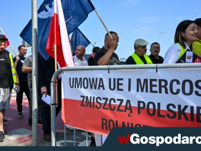 Rolnicy w rozpaczy. „Dramatyczny spadek opłacalności”