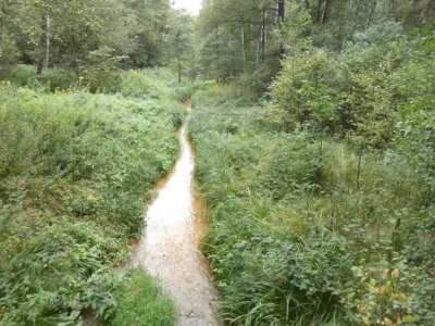 Kozi Bród – rzeka, która znika i powraca