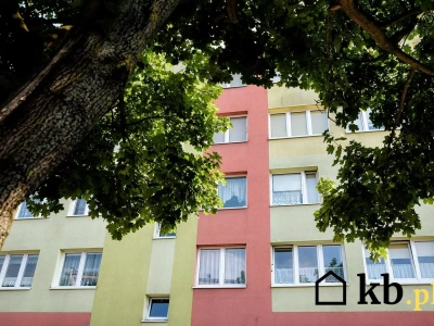 Betonowe więzienie, czy cudowne dzieciństwo? Wielka płyta wychowała całe pokolenia