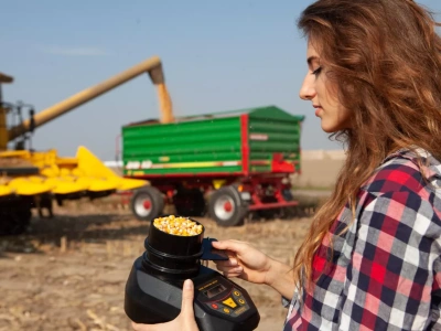 Kukurydza 2025: szykują się rekordowe zbiory w Polsce. Jakie będą ceny?