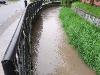 Kumiela znów wysoko [ Wiadomości ]