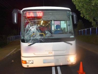 Dramat na drodze wojewódzkiej. Pijany 61-latek wszedł prosto pod nadjeżdżający autobus [ZDJĘCIA]