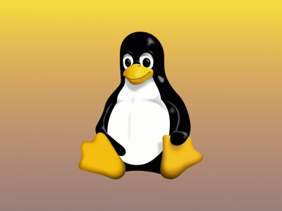 Linux 6.17-rc6 gotowy. Stabilna wersja już za dwa tygodnie