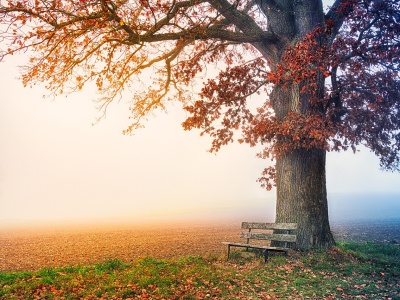 Rolnicza prognoza tygodniowa: wykorzystaj weekend, przygotuj się na deszcz