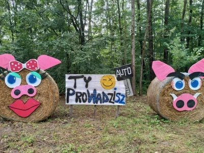 Dożynkowa świnka nie dyskutuje. 