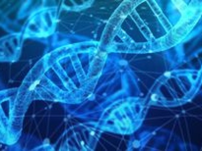 Podstawy genetyki. Tak DNA pokazuje przodków i pochodzenie