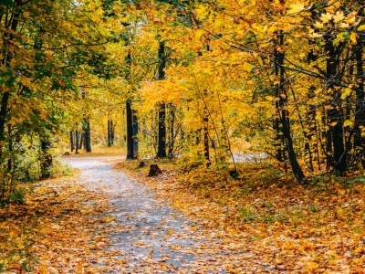 Na spacer i na wycieczkę rowerową. To miejsce jesienią zachwyca