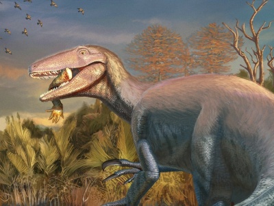 Znaleźli megaraptora z ostatnim posiłkiem. Niebywałe, co miał w pysku