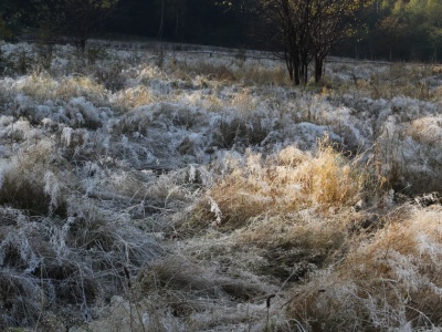 Październik wita nas przymrozkami i przelotnymi opadami deszczu ze śniegiem. A dalej?