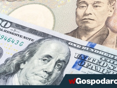 Instytucje rządowe w USA na „przymusowych wakacjach”