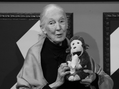 Jane Goodall nie żyje. Słynna badaczka naczelnych miała 91 lat