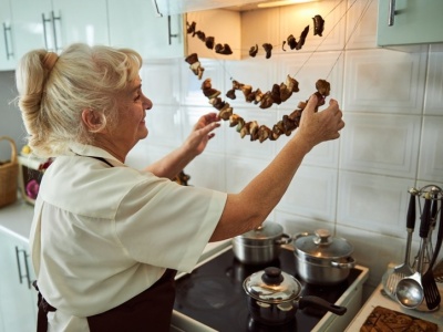 Tych grzybów nie susz pod żadnym pozorem. Staną się trujące