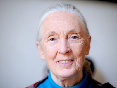 Zmarła Jane Goodall, uczona, która pokazała nam właściwe miejsce w świecie zwierząt
