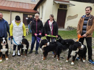 W niedzielę można przyjść na Mszę z psem czy kotem