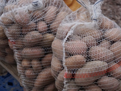 Import dobija polskie ziemniaki. Plantatorzy żądają podjęcia działań