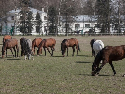 Kto w „państwowej stajni” zgarnia największe siano? Ranking giełdowych spółek Skarbu Państwa, które zarabiają najwięcej