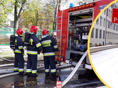 Kluczowe oznaczenie na drodze. Nawet doświadczeni kierowcy czasem je ignorują
