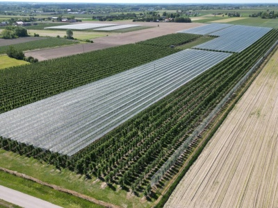 Ile ziemi ma przeciętny rolnik? ARiMR podaje: 11,75 ha w 2025 roku