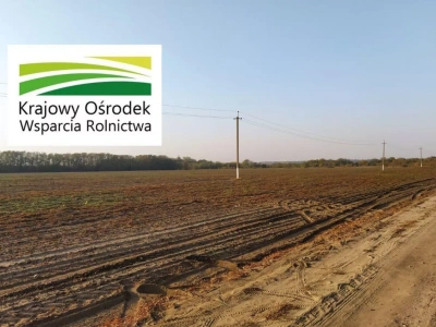 Rolnicy mogą oddać ziemię i dostać nowe grunty od KOWR. Sprawdź procedurę