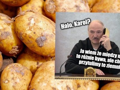 Jakoś tak wyszło, że w Polsce wyrosło za dużo ziemniaków i rolnicy proszą rząd o pomoc