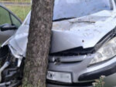 Wypadek pod Nowogrodem Bobrzańskim. Osobówka rozbita o drzewo (ZDJĘCIA)
