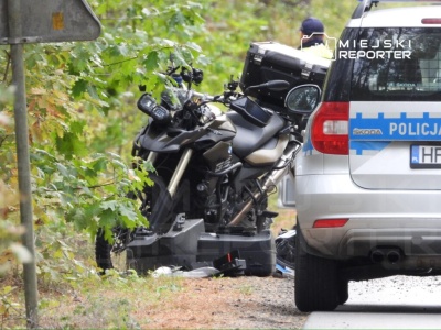 Zderzenie motocyklisty z łosiem. Kierujący był reanimowany, pasażerka w stanie krytycznym