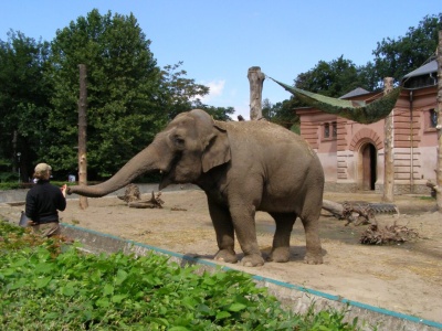 Wrocławskie ZOO blokuje ujawnienie umów z prawnikami